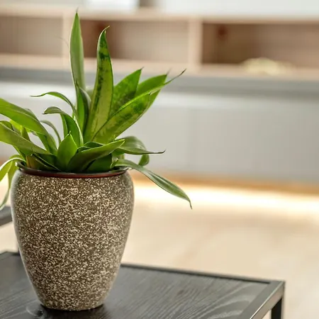 Апартаменты Magnolia Luxury Chania *